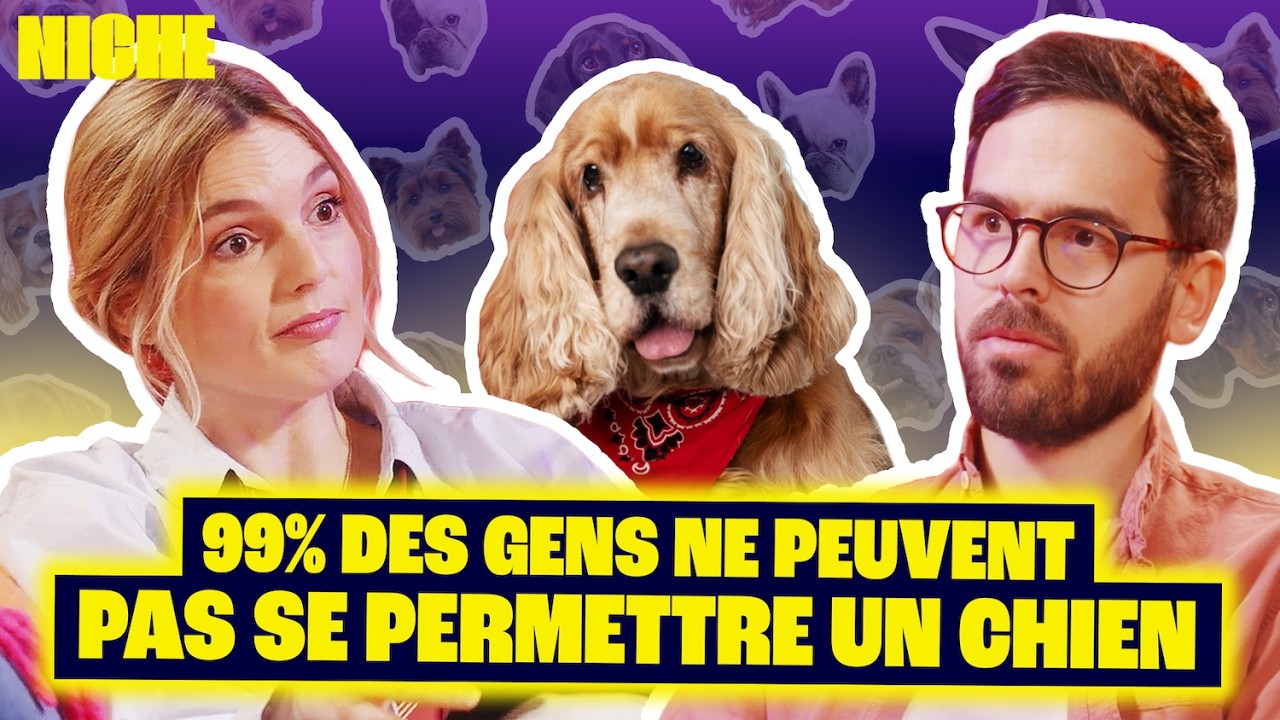 Adopter un chien : combien ça coûte vraiment ?