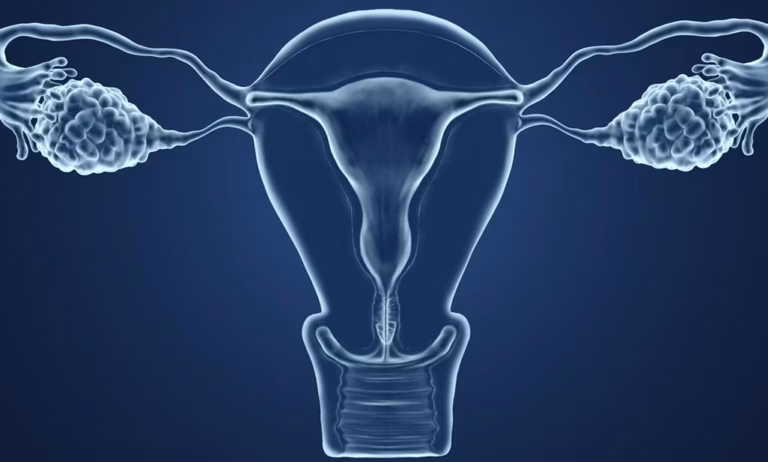 Colpotrophine ovule : usages, effets et précautions