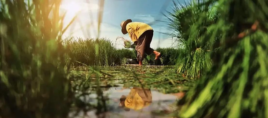 Santé environnementale des 1 000 premiers jours : un enjeu prioritaire pour l&rsquo;avenir